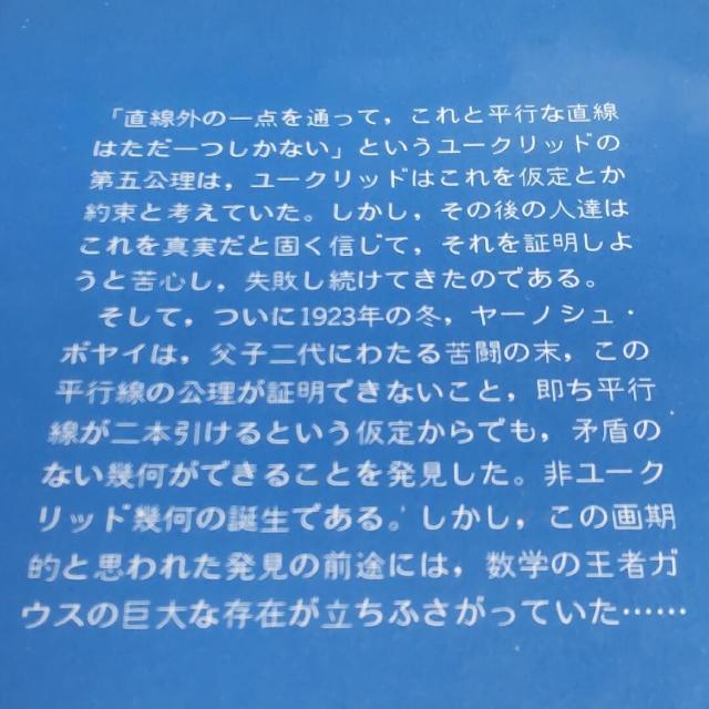 非ユークリッド幾何の世界 幾何学の原点をさぐる 寺阪英孝 < 本/雑誌  非ユークリッド幾何の世界 幾何学の原点をさぐる 寺阪英孝 < 本/雑誌の