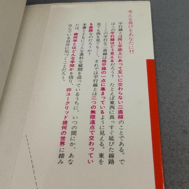非ユークリッド幾何の世界 幾何学の原点をさぐる 寺阪英孝 < 本/雑誌  非ユークリッド幾何の世界 幾何学の原点をさぐる 寺阪英孝 < 本/雑誌の