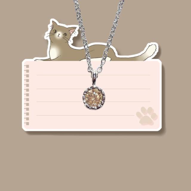  FVpCZVvɍ׃lbNX  t@bV 