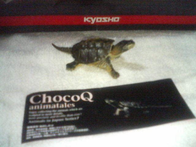チョコQ アニマルテイルズ7 カミツキガメ < ホビー チョコQ アニマルテイルズ7 カミツキガメ < ホビーの
