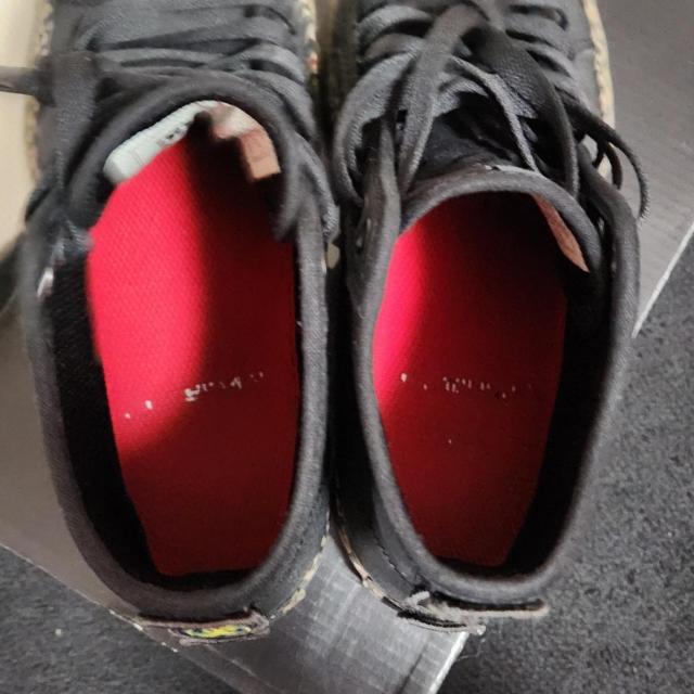 DC SHOES fB[V[V[Y MANUAL HI X EVAN }jA nC G@EX~X 24.0cm  uh 