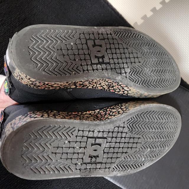 DC SHOES fB[V[V[Y MANUAL HI X EVAN }jA nC G@EX~X 24.0cm  uh 