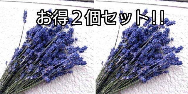 Zx_[ 2Zbg߂ݍH[ kChCt[Exǖ nhCh [X ԍ 