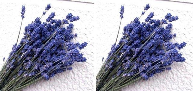 Zx_[ 2Zbg߂ݍH[ kChCt[Exǖ nhCh [X ԍ