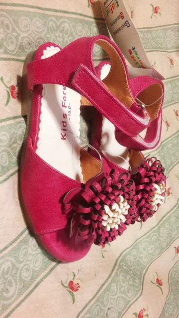 Viԃt[T_艿\356415.0 TCYsNn  LbY/xr[ 