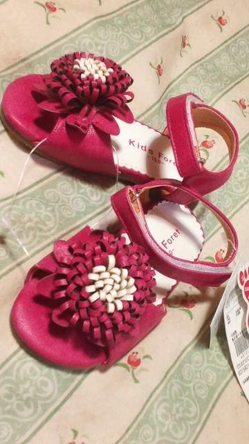 Viԃt[T_艿\356415.0 TCYsNn  LbY/xr[ 