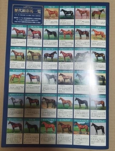 2023年ジャパンカップ 顕彰馬選定記念アーモンドアイ表紙レーシングプログラム < ホビー  2023年ジャパンカップ 顕彰馬選定記念アーモンドアイ表紙レーシングプログラム < ホビーの