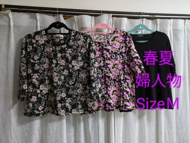 []wl/tăJbg\[/Sizel/܂Ƃߔ//   t@bV 