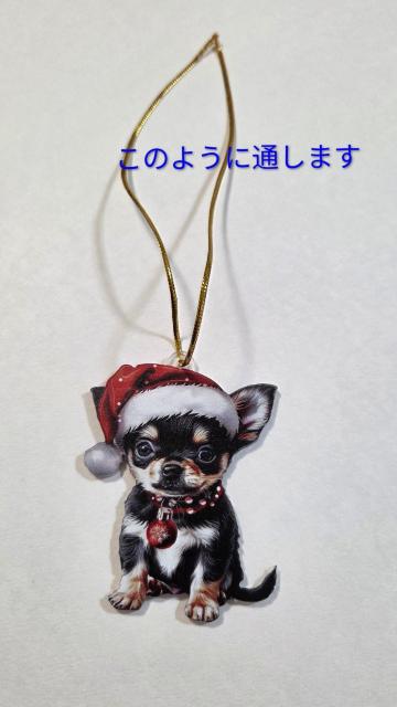 `T^NX}XI[ig@@@`ANZT[@@@`ObY@@@`@@@NX}XI[ig@@  CeA/Ct 