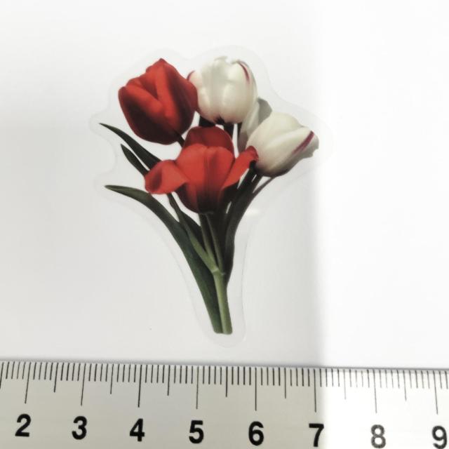 ���X�g��`���[���b�v�̃R���[�W���V�[���@390  �� �C���e���A/���C�t�� 