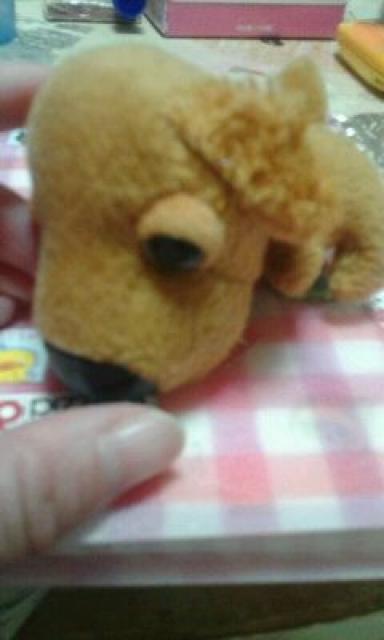 THE DOG D ��  �� ��������� 