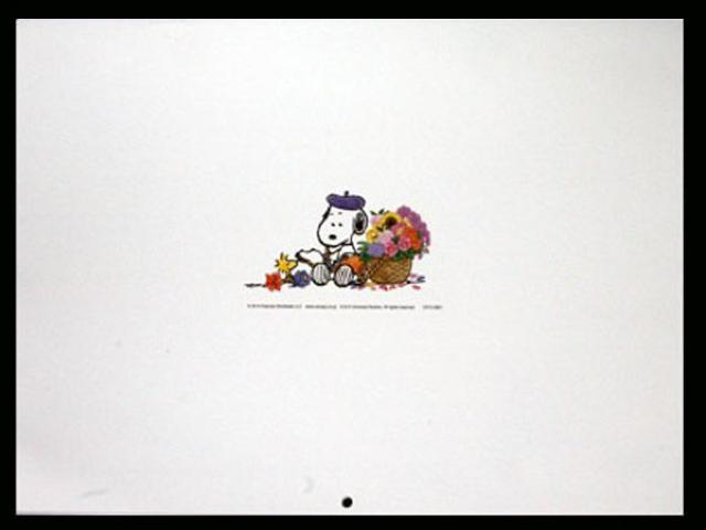  wXk[s[EX^WIx t[J_[ 2015  zr[ 