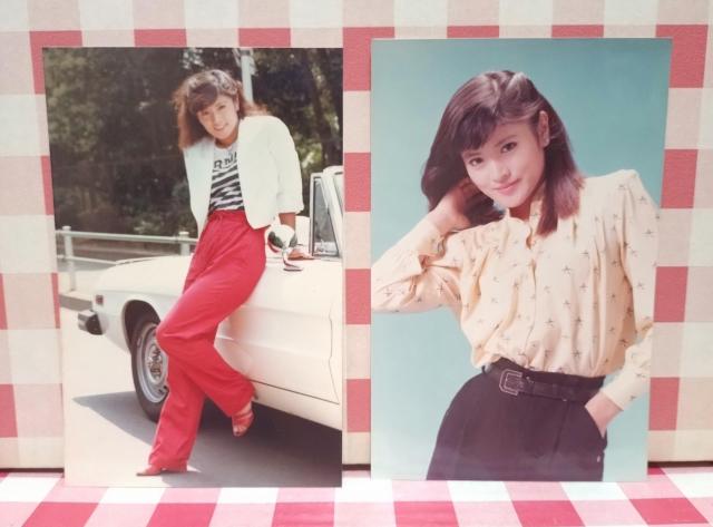 志穂美悦子 ブロマイド < タレントグッズ 志穂美悦子 ブロマイド < タレントグッズの