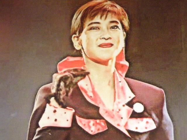 ★森高 千里(もりたか ちさと) A4サイズ6枚+◎ クリアポケット入り < タレントグッズ  ★森高 千里(もりたか ちさと) A4サイズ6枚+◎ クリアポケット入り < タレントグッズの