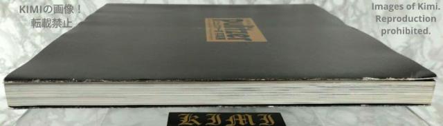 sc@[܎ʐ^W 20Ȉ، ^{ 1998 c (ҏW), H[ (ҏW)  Pulitzer Prize P  {/G 