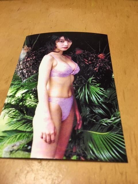 国分佐智子 写真★14 < タレントグッズ 国分佐智子 写真★14 < タレントグッズの