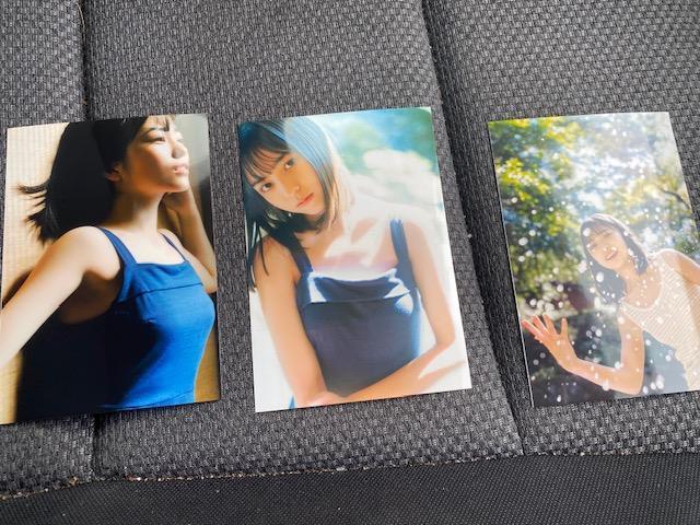 �����i�z�q �ʐ^3���Z�b�g��25  �� �^�����g�O�b�Y�� 