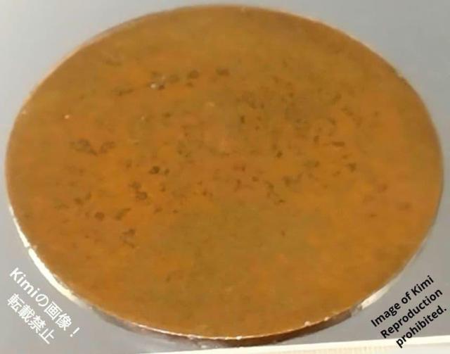 �G���[�R�C���H �ˈ�K���� 1937 ���a�\�� 12 NGC NOT ENCAPSULATED DAMAGED TO RESEM �� �z�r�[�� 