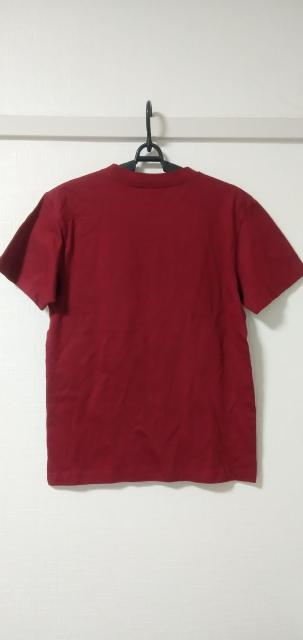 レンガ色Sサイズ半袖テーシャツ1枚 < 男性ファッション レンガ色Sサイズ半袖テーシャツ1枚 < 男性ファッションの