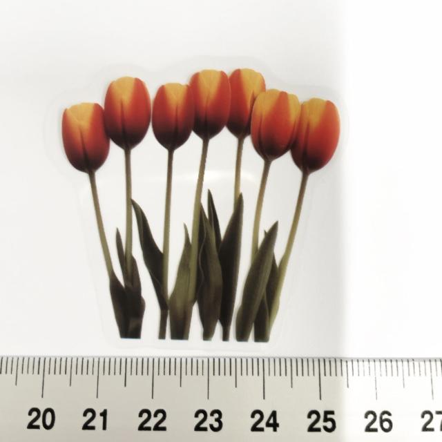 ���X�g��`���[���b�v�̃R���[�W���V�[���@398  �� �C���e���A/���C�t�� 