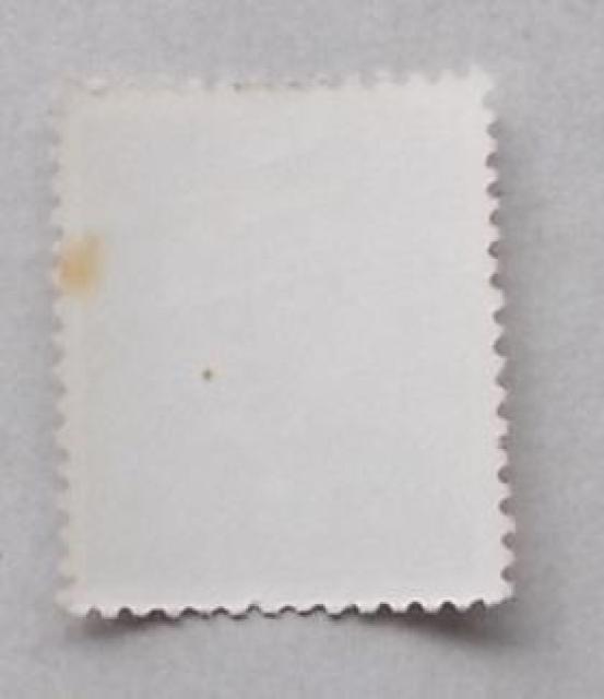 �y���g�p�z1961�N�@�X�֑n�n�X�O�N�L�O�@�P�� �� �z�r�[�� 