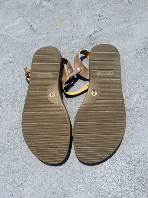 �y�^���R�T���_��