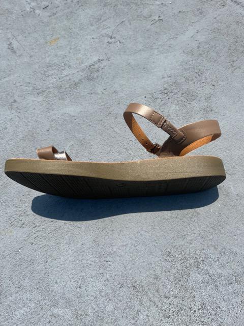 �y�^���R�T���_��