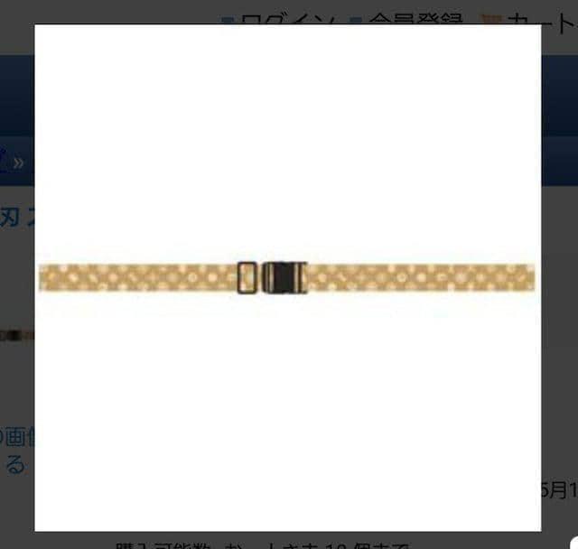 �S�ł̐n �z�e�������g�� �X�[�c�P�[�X�x���g�@�z�e���o�[�W���� �� ���W���[/�X�|�[�c�� 