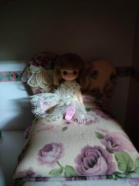 �h�[���x�b�h/�W���G���[�{�b�N�X �� ��������� 