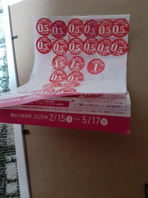 �R��t�̃p���Ղ�  2026     30�_�� �� �z�r�[�� 