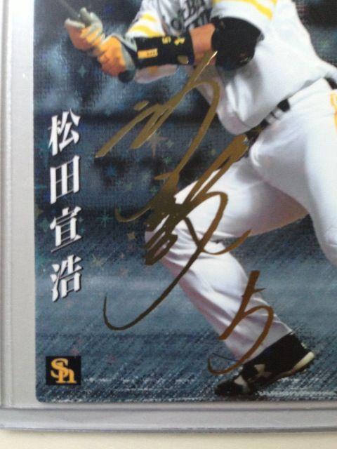 PSJr-/PeTCJ-hr-OVEc_  g[fBOJ[h 