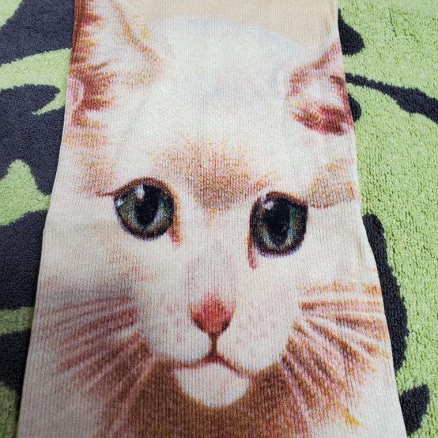 Ⴟށ@L@@EGXgEH[}[@˂@``@̎qV[^OtVi  uh 