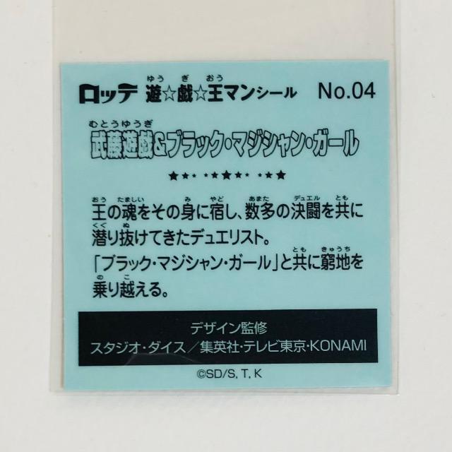 �V�Y���}���V�[���@No.04 �����V�Y&�u���b�N�E�}�W�V�����E�K�[�� �� �z�r�[�� 