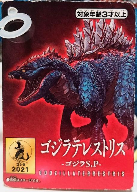 Vi [r[X^[V[Y SWeX \tr o_C 2021N SWS.P tBMA SW  zr[ 