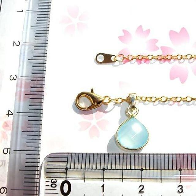  FVRAAA V[u[JZhj[ ꗱ lbNX  ANZT[/v 