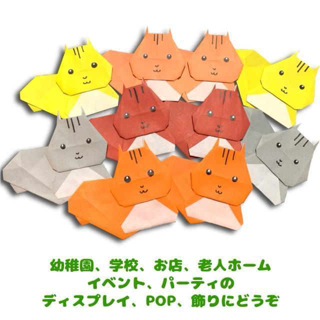 nhCh@܂莆@X@10Zbg@POP fBXvC@ǖʏ@Hfށ@H̏  ybg/|/| 