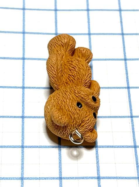 1040 立体の熊ちゃん 1個 3D 樹脂チャーム アクセサリーパーツ 表面は硬いです。クマ テディベア < ペット/手芸/園芸 1040 立体の熊ちゃん 1個 3D 樹脂チャーム アクセサリーパーツ 表面は硬いです。クマ テディベア < ペット/手芸/園芸の