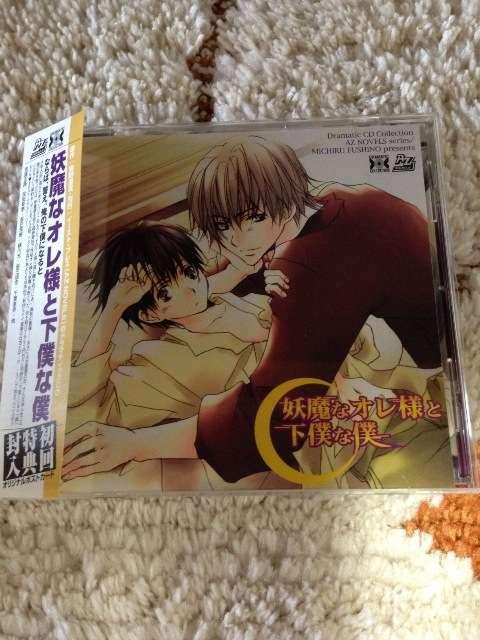 BLCDudȃIlƉlȖlvx pՂbc@쓹   CD/DVD/rfI 