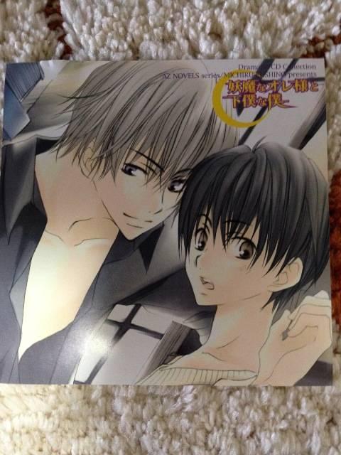 BLCDudȃIlƉlȖlvx pՂbc@쓹  CD/DVD/rfI 