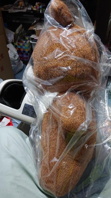 リラックマ・ぬいぐるみ・縦59pΧ横42p位の物です。 < おもちゃ  リラックマ・ぬいぐるみ・縦59pΧ横42p位の物です。 < おもちゃの