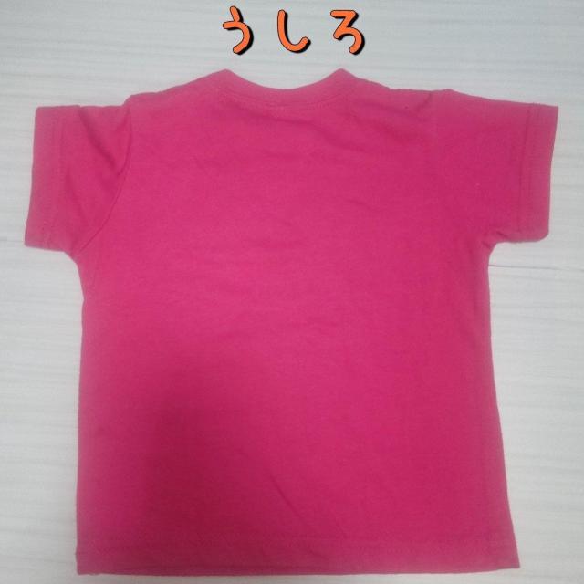 sN̔TVc TCY95   LbY/xr[ 