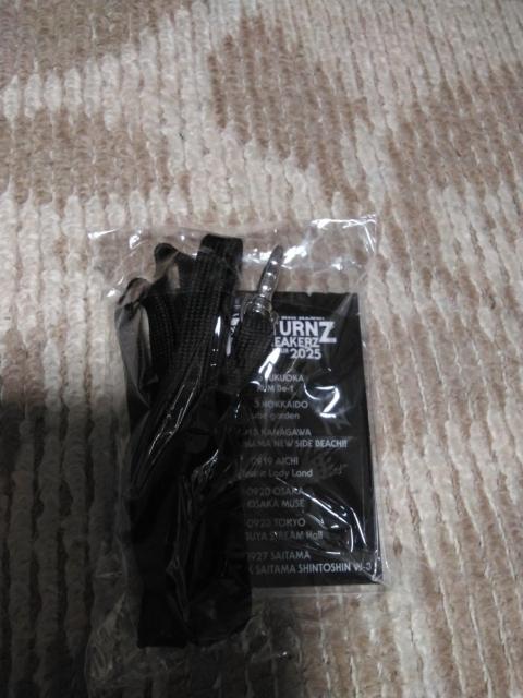 BREAKERZ 直筆サイン入りオリジナルパス RETURNZ 非売品 < タレントグッズ BREAKERZ 直筆サイン入りオリジナルパス RETURNZ 非売品 < タレントグッズの