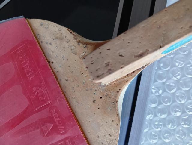  싅Pbg   yz_[@ {&|[Zbg@ BASIC 2000P@ 싅̃UgI  W[/X|[c 