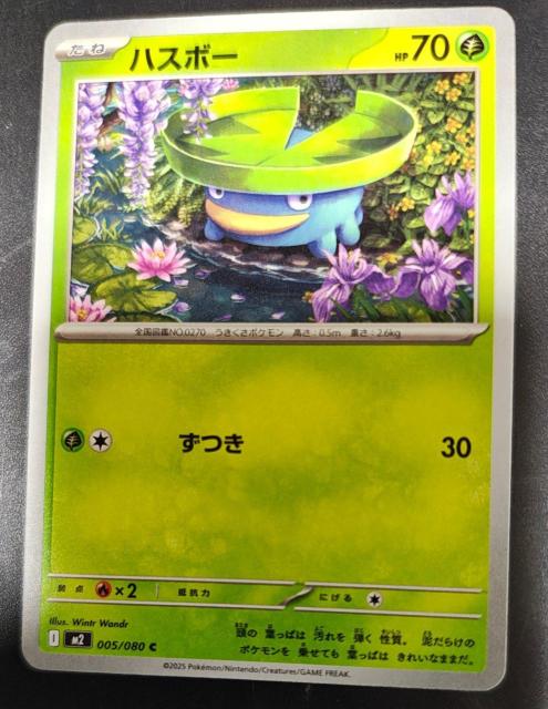 �n�X�{�[�@����  �� �g���[�f�B���O�J�[�h�� 