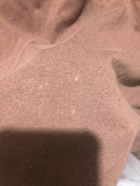 �N�C�b�N�V���o�[ �|���V���c Quiksilver �� �u�����h�� 