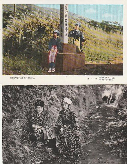 大島アンコ 当時の女性 当時の絵はがき 2種【E-40】 < ホビー 大島アンコ 当時の女性 当時の絵はがき 2種【E-40】 < ホビーの