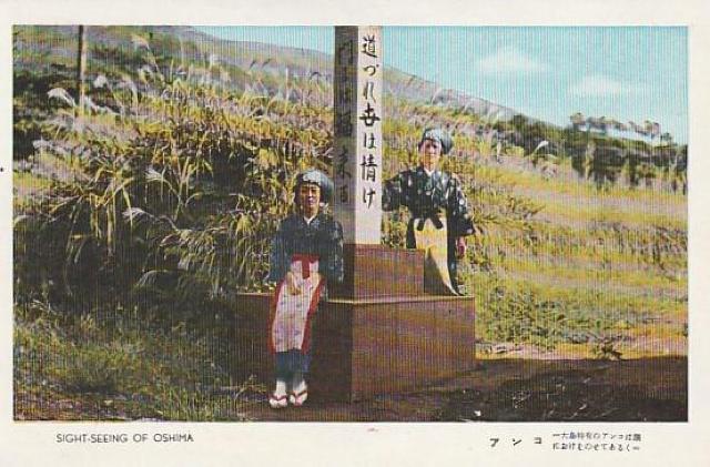 大島アンコ 当時の女性 当時の絵はがき 2種【E-40】 < ホビー 大島アンコ 当時の女性 当時の絵はがき 2種【E-40】 < ホビーの