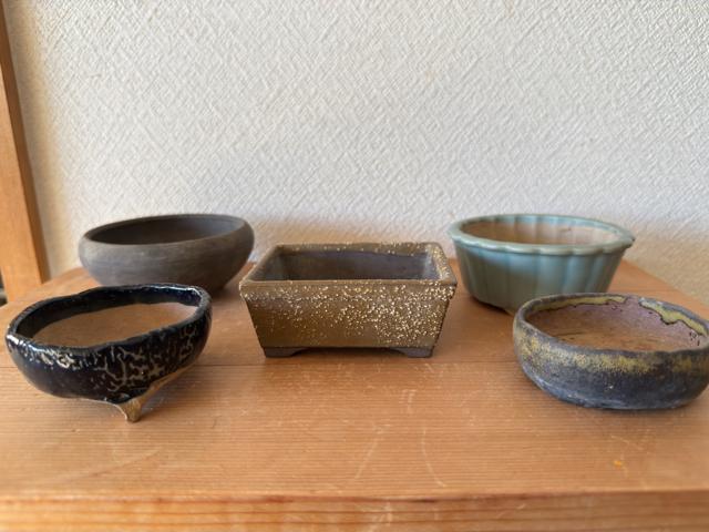 I 盆栽鉢 豆盆栽鉢 山野草鉢 多肉植物鉢 植木鉢 5鉢セット陶器製 < ペット/手芸/園芸 I 盆栽鉢 豆盆栽鉢 山野草鉢 多肉植物鉢 植木鉢 5鉢セット陶器製 < ペット/手芸/園芸の