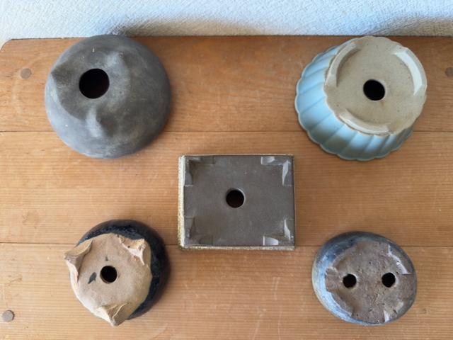 I 盆栽鉢 豆盆栽鉢 山野草鉢 多肉植物鉢 植木鉢 5鉢セット陶器製 < ペット/手芸/園芸 I 盆栽鉢 豆盆栽鉢 山野草鉢 多肉植物鉢 植木鉢 5鉢セット陶器製 < ペット/手芸/園芸の