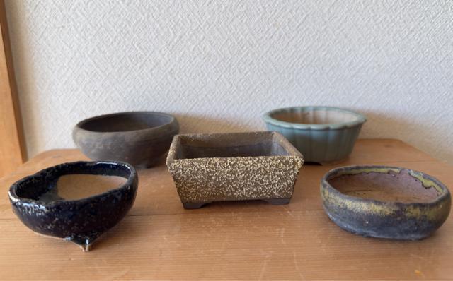 I 盆栽鉢 豆盆栽鉢 山野草鉢 多肉植物鉢 植木鉢 5鉢セット陶器製 < ペット/手芸/園芸 I 盆栽鉢 豆盆栽鉢 山野草鉢 多肉植物鉢 植木鉢 5鉢セット陶器製 < ペット/手芸/園芸の